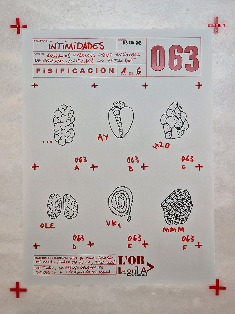 00A-FICHA LOB