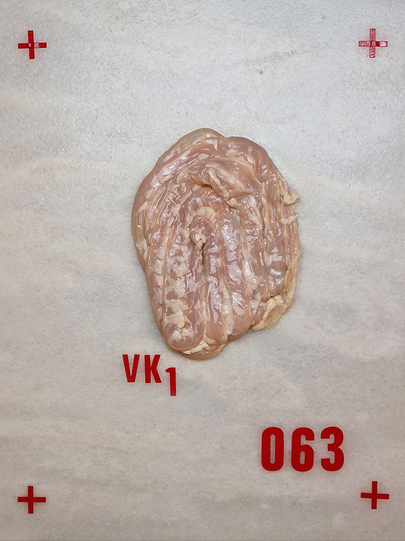 06-INTESTINO