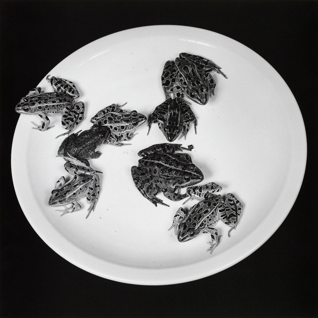 ANDREA-01-MAPPLETHORPE