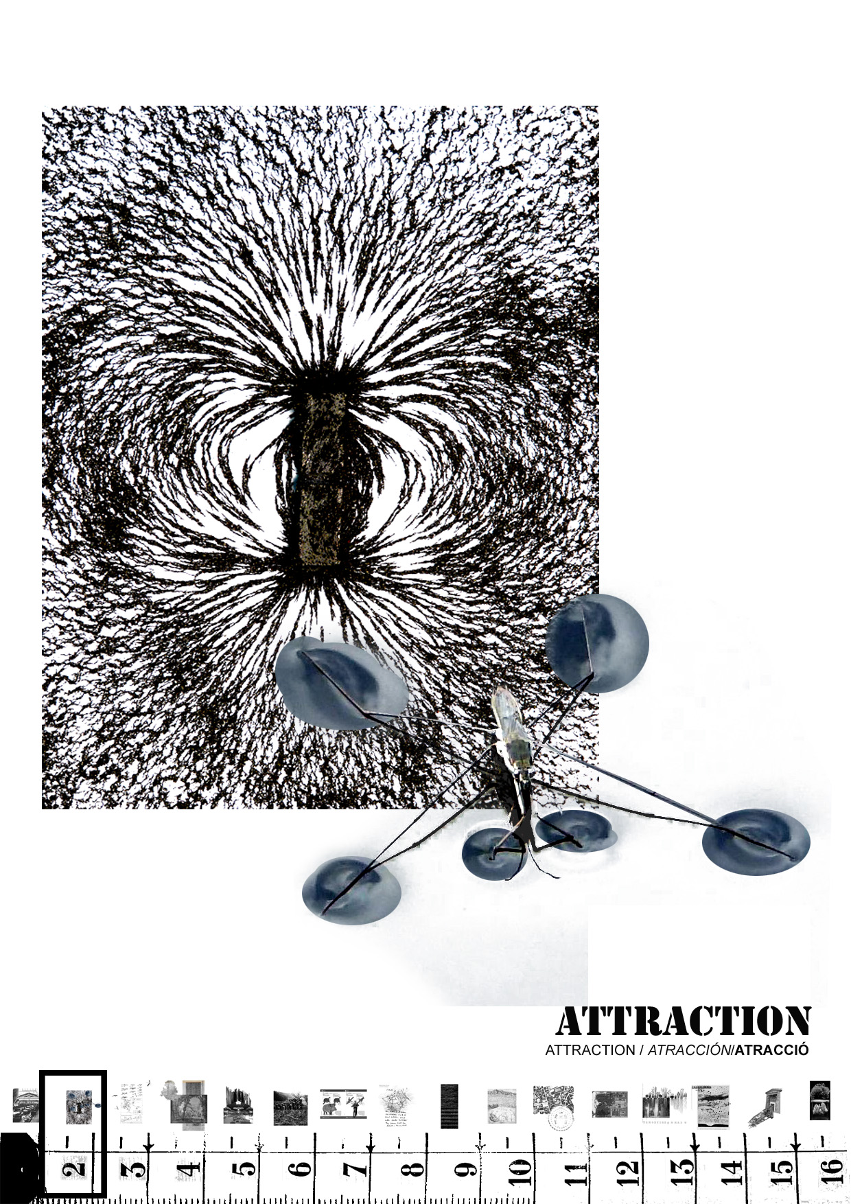 02-portes collserola competition lagula