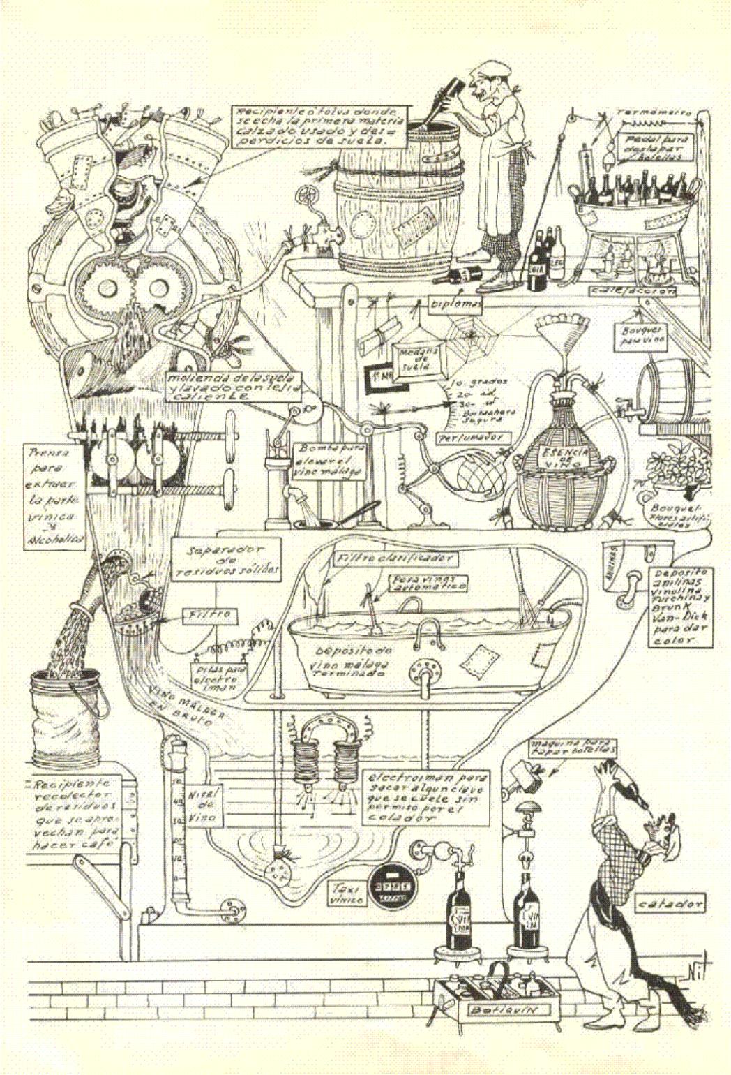 07-activity movement reflections lagula
