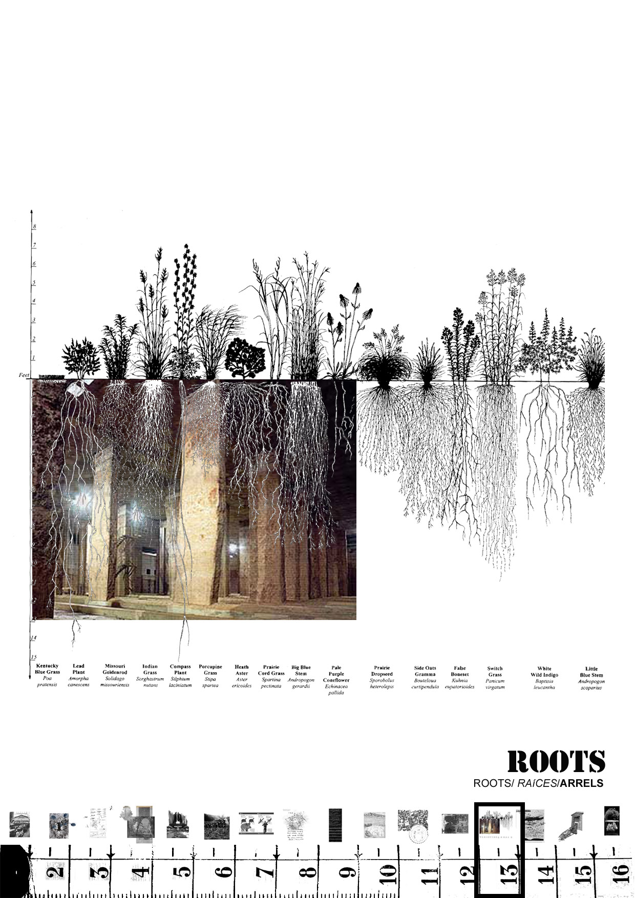 13-portes collserola competition lagula