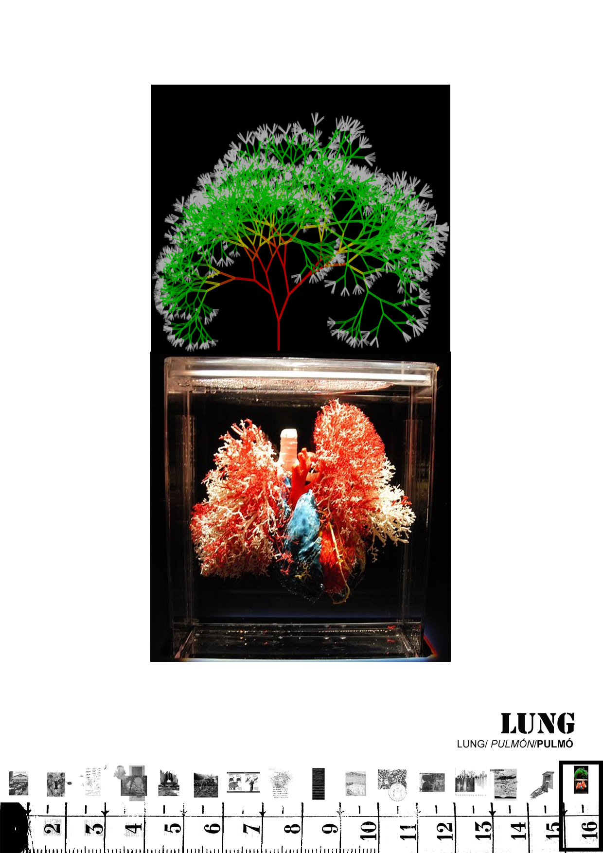 16-portes collserola competition lagula