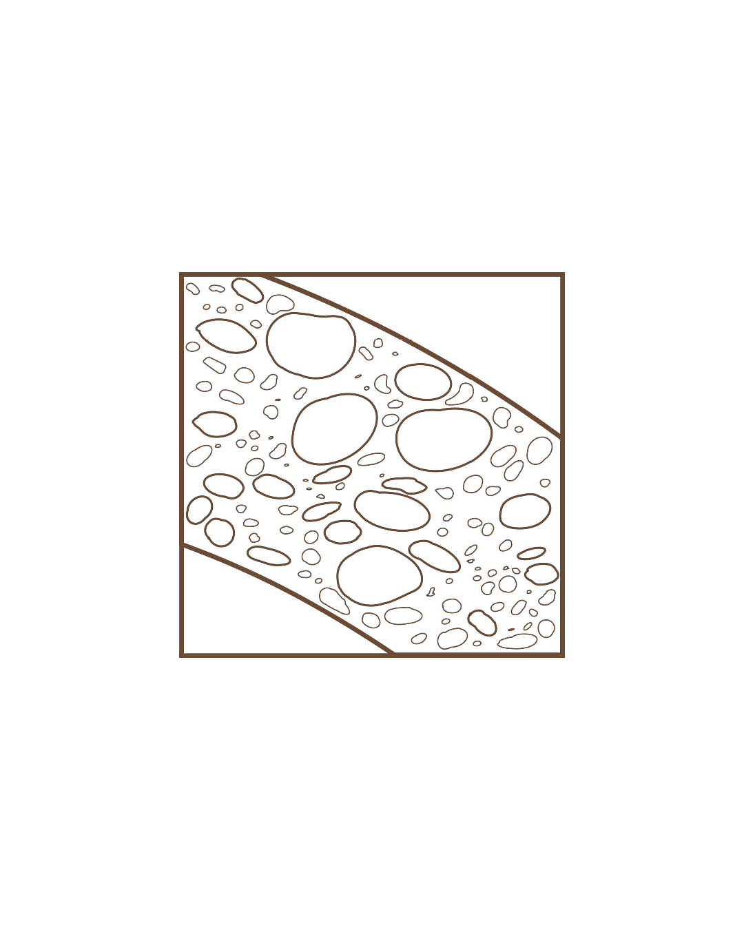 neom (1)