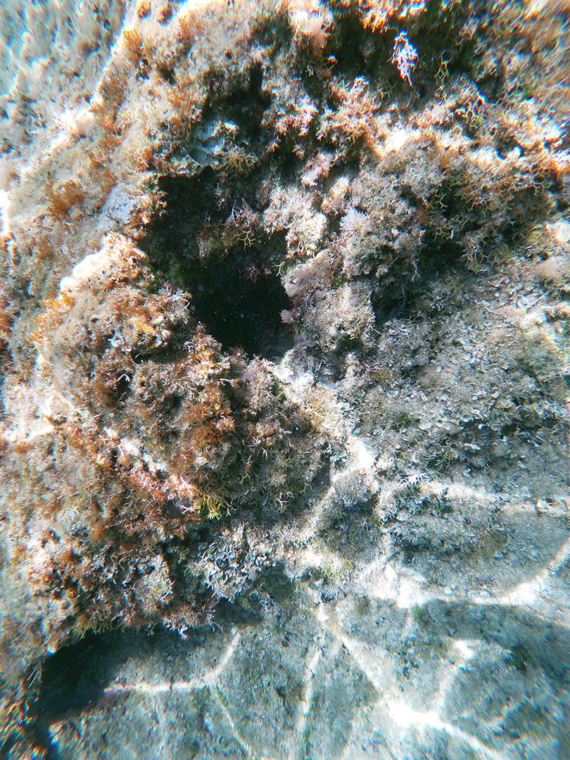 t/sdcard/DCIM/100GOPRO/GOPR0412